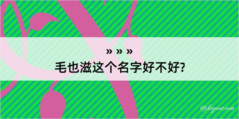 毛也滋这个名字好不好?