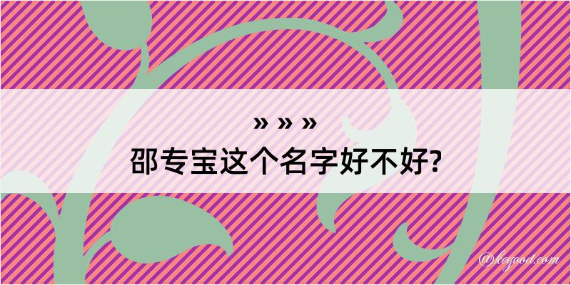 邵专宝这个名字好不好?