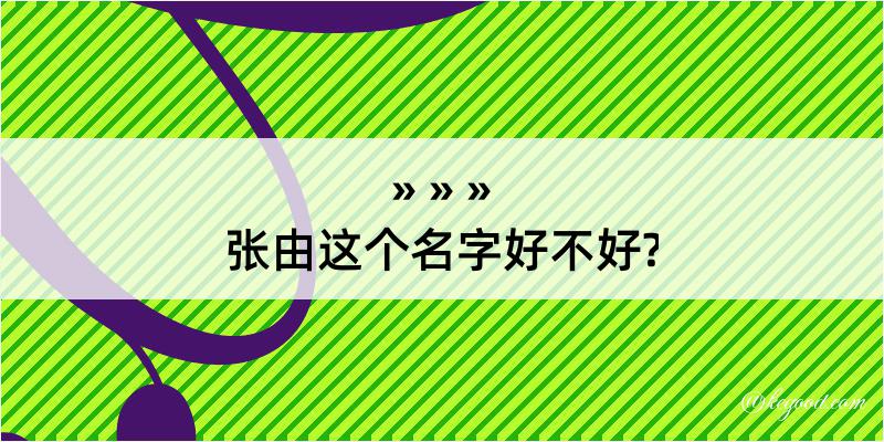 张由这个名字好不好?