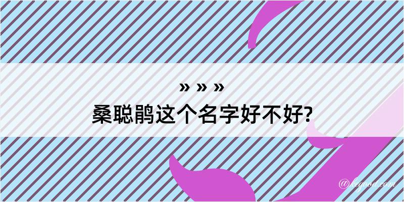 桑聪鹃这个名字好不好?