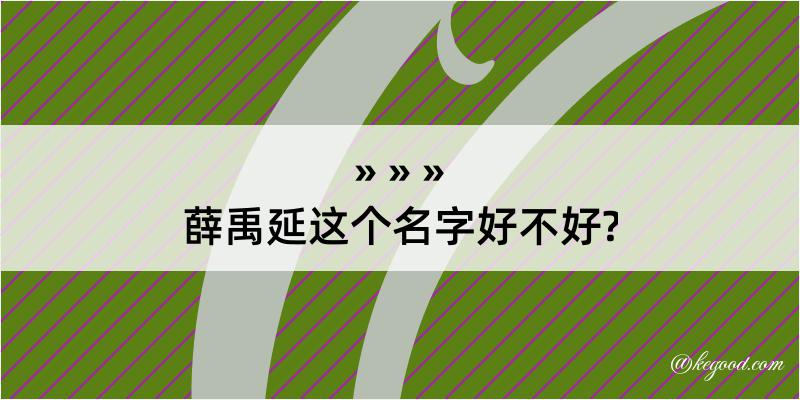 薛禹延这个名字好不好?