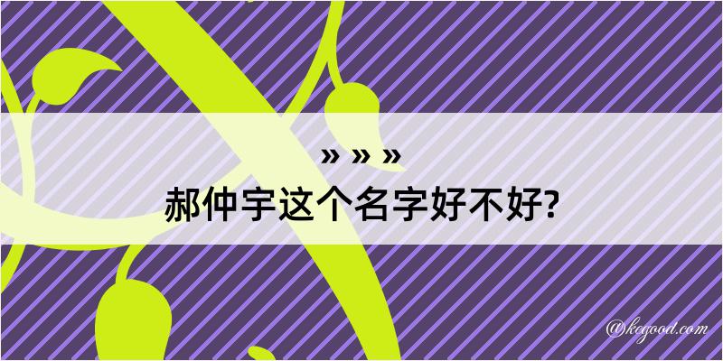 郝仲宇这个名字好不好?