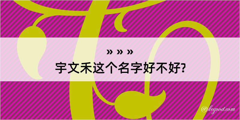 宇文禾这个名字好不好?