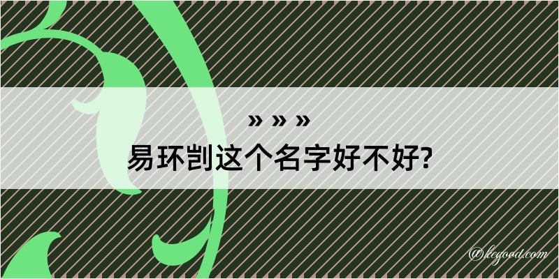 易环剀这个名字好不好?