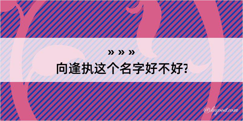 向逢执这个名字好不好?