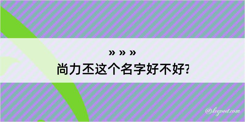 尚力丕这个名字好不好?