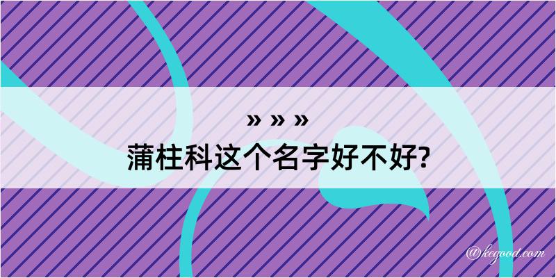 蒲柱科这个名字好不好?