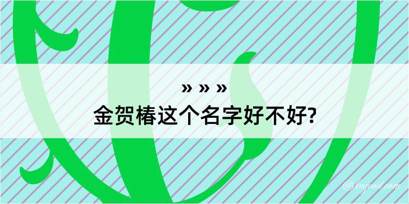 金贺椿这个名字好不好?