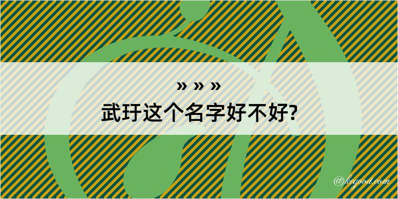 武玗这个名字好不好?