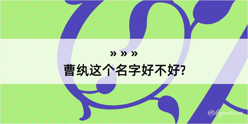 曹纨这个名字好不好?