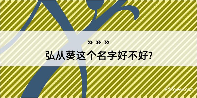 弘从葵这个名字好不好?