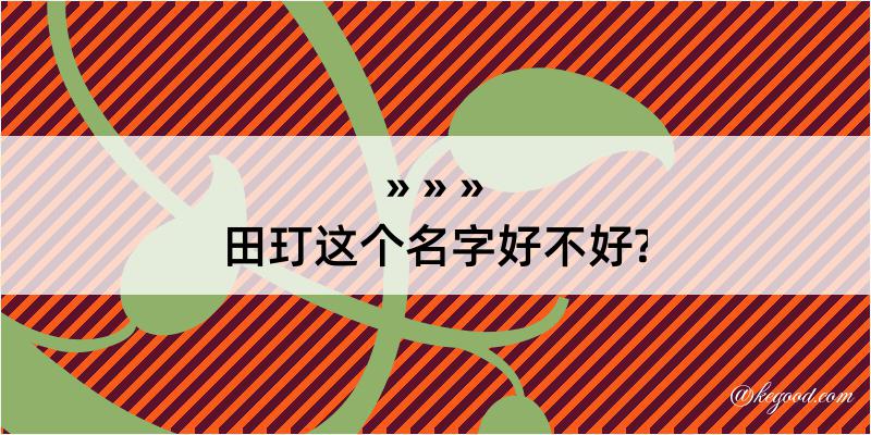 田玎这个名字好不好?